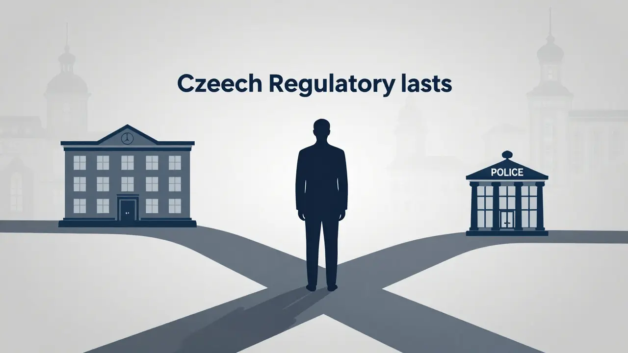 Symbolické zobrazení cest řešení stížnosti na maséra v České republice.